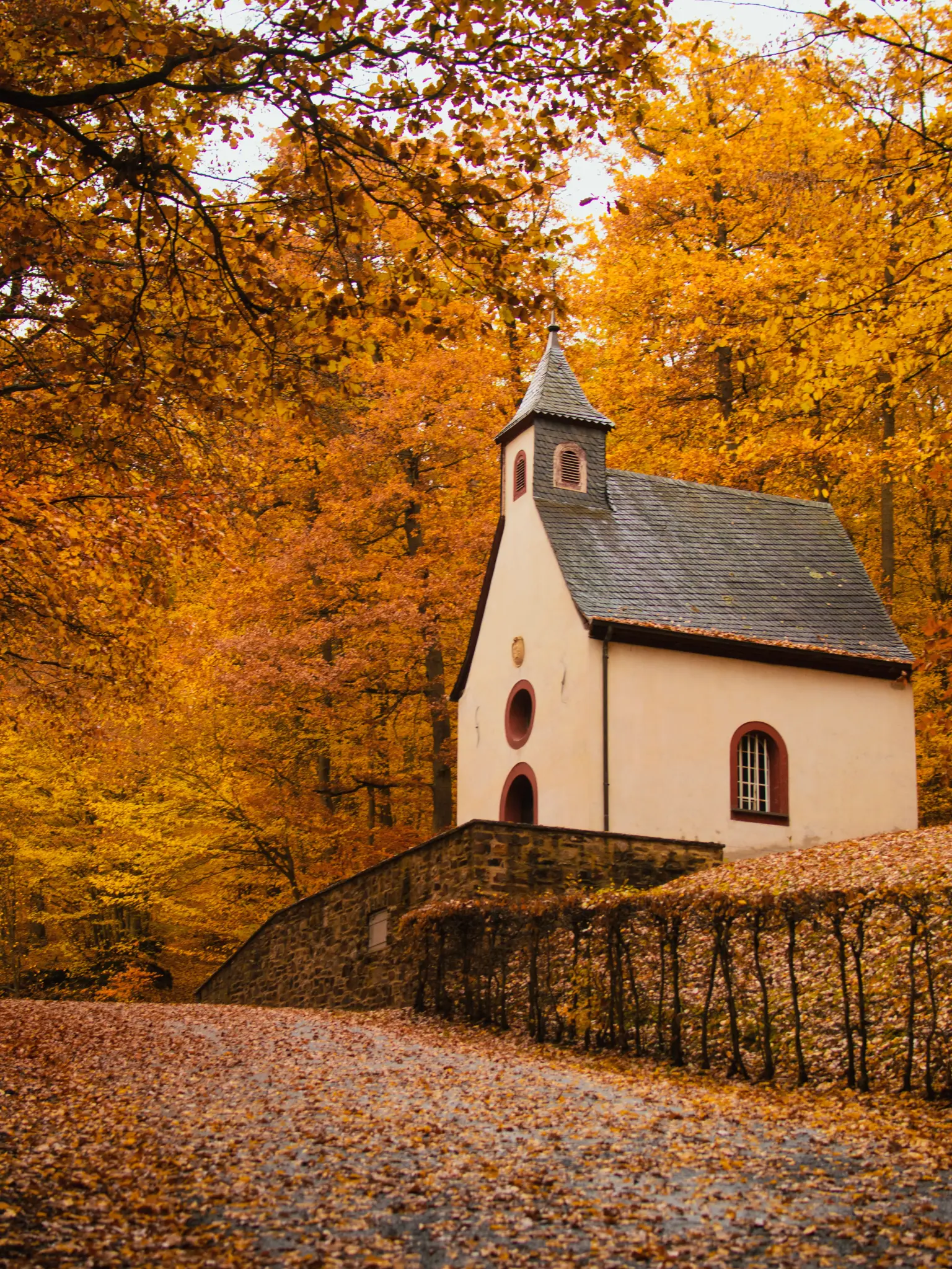 Fall Writing Frenzy